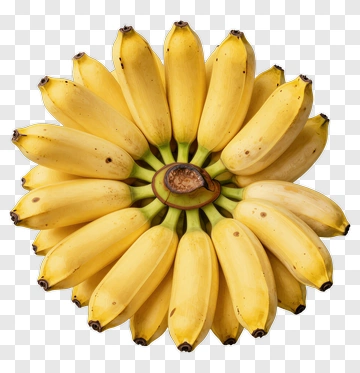 Fresh Yellow Banana Cluster PNG