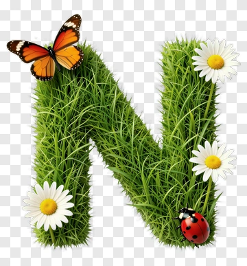 Grass Letter N With Butterfly And Ladybug PNG