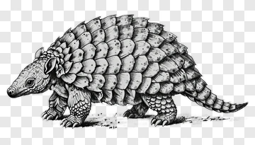 Armored Mammal With Detailed Scales PNG