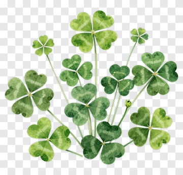 Four-Leaf Clover Cluster PNG