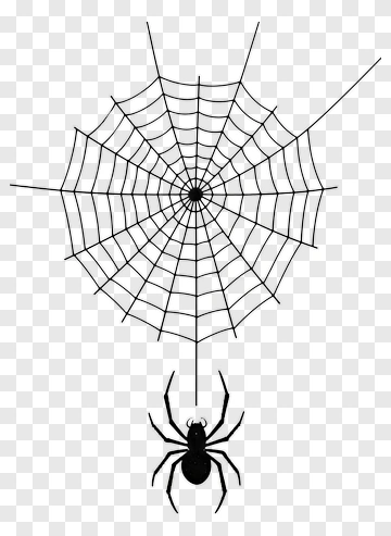 Spider And Web PNG