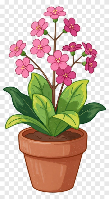 Pink Flowering Potted Plant PNG