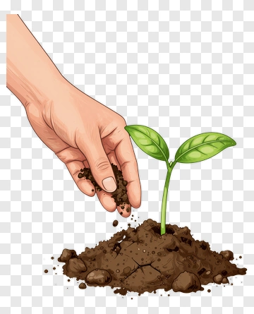 Hand Planting A Seedling PNG