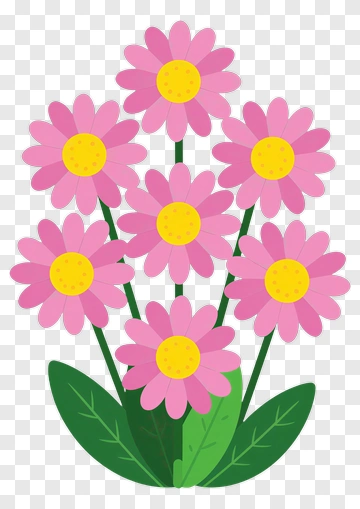 Pink Daisy Bouquet With Yellow Centers PNG