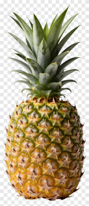 Fresh Pineapple PNG