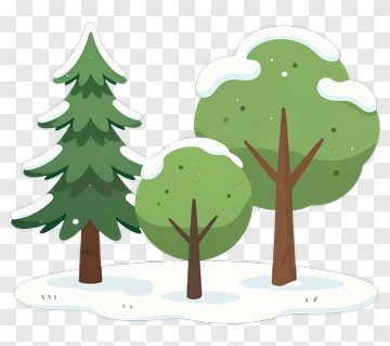 Two Trees Covered In Snow PNG