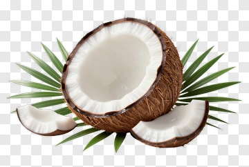 Coconut With Palm Leaves PNG