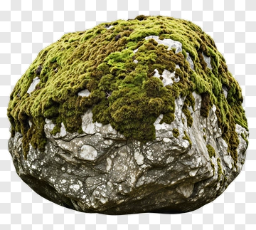 Moss Covered Rock PNG