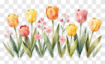 Watercolor Tulips In Pastel Hues PNG