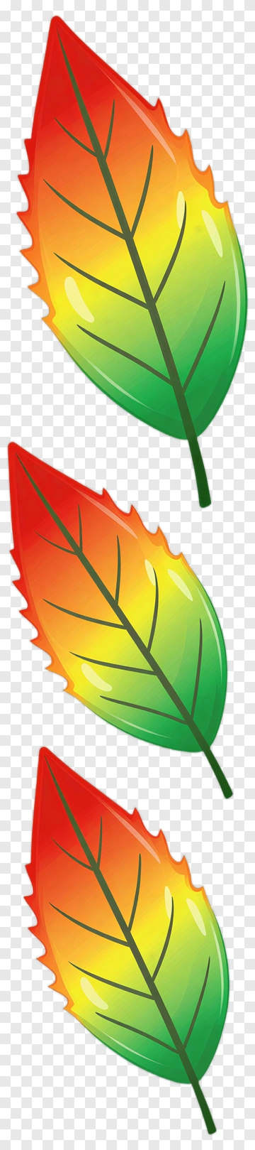 Three Colorful Leaves PNG