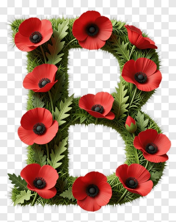Letter B Made Of Poppy Flowers PNG