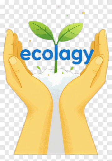 Hands Holding A Growing Plant PNG