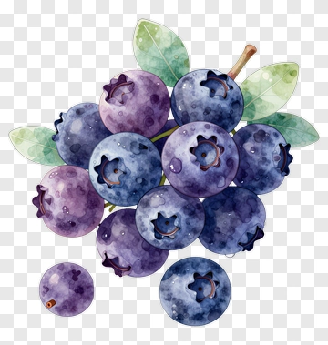 Fresh Blueberry Cluster PNG