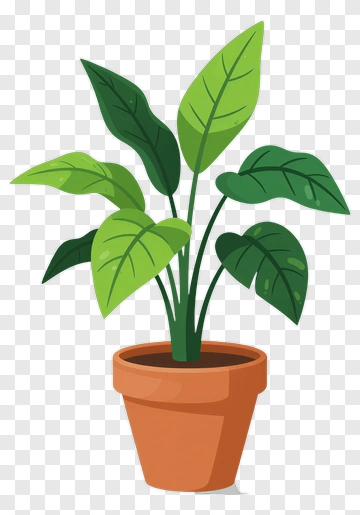 Potted Plant With Large Green Leaves PNG