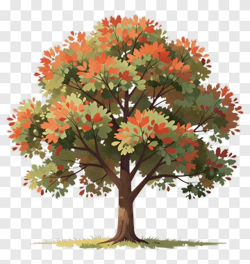Autumn Tree With Colorful Leaves PNG