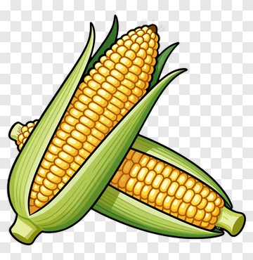 Corn PNG