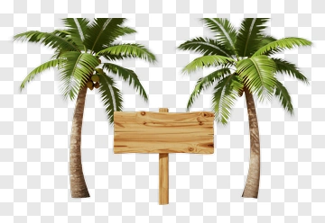 Wooden Sign Between Palm Trees PNG