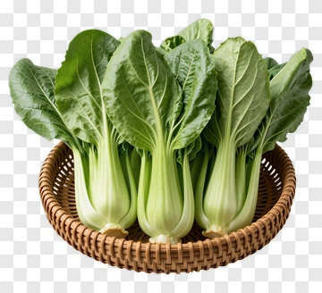 Fresh Bok Choy In Woven Basket PNG