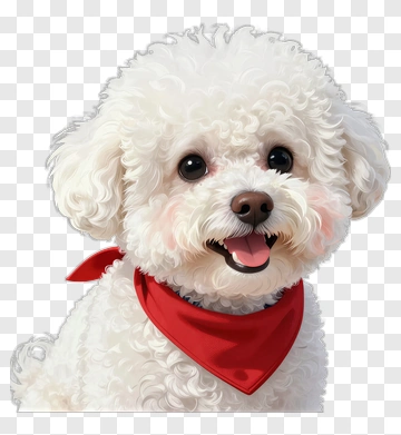 Cute White Poodle With Red Bandana PNG