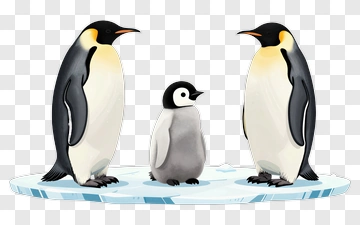 Penguin Family On Ice PNG