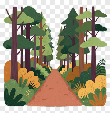 Forest Path Through Trees PNG