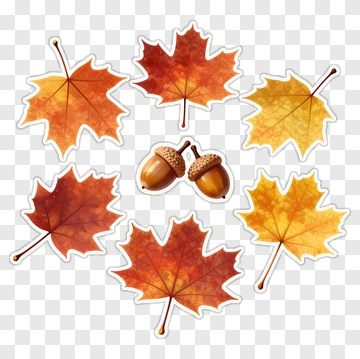 Autumn Maple Leaves And Acorns PNG