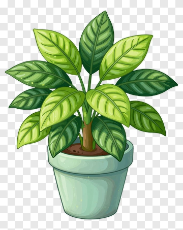 Potted Leafy Plant PNG