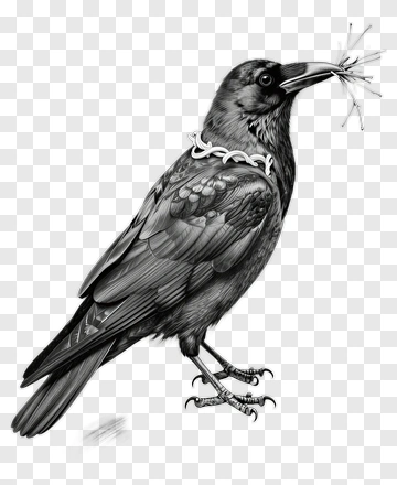 Crow With Necklace And Spiky Object PNG