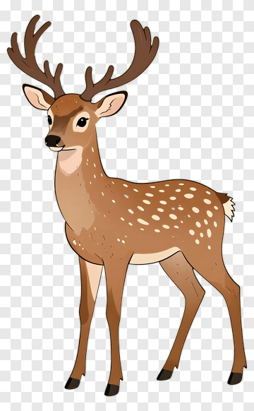 Cartoon Deer PNG