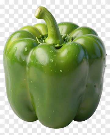 Fresh Green Bell Pepper PNG