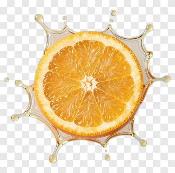 Fresh Orange Slice With Juice Splash PNG
