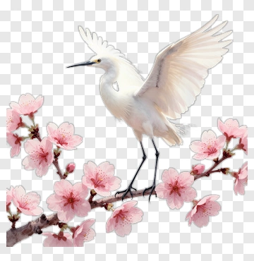 White Egret On Cherry Blossom Branch PNG