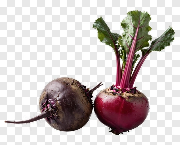 Two Beetroot With Leaves PNG