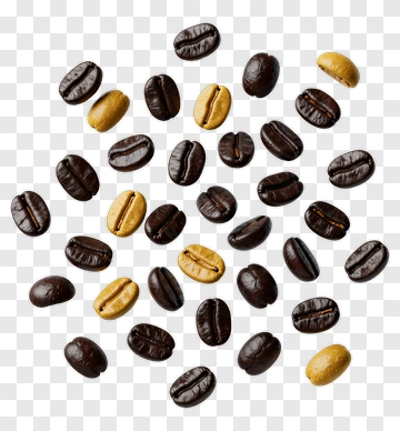 Coffee Beans PNG