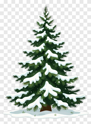 Snow Covered Pine Tree PNG