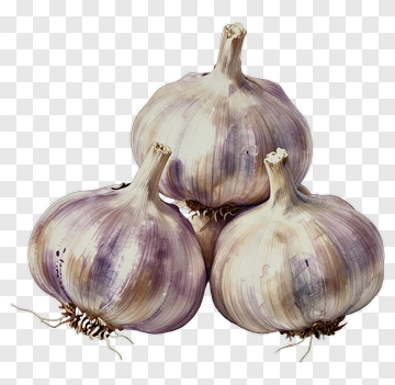 Three Garlic Heads PNG