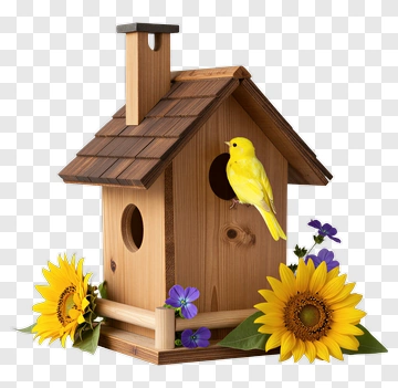 Yellow Bird Perched On Wooden Birdhouse PNG
