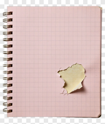Pink Grid Notebook With Tear PNG
