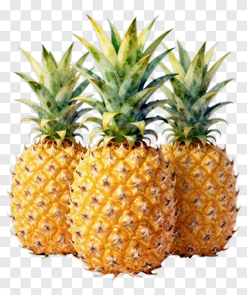 Three Pineapples PNG