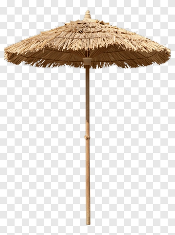 Thatched Umbrella PNG