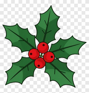 Holly With Red Berries PNG