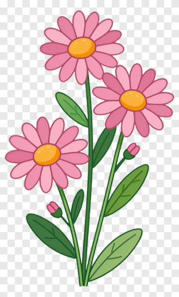 Pink Daisy Flowers With Green Stems PNG