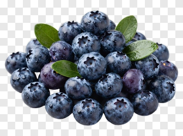 Fresh Blueberries With Leaves PNG