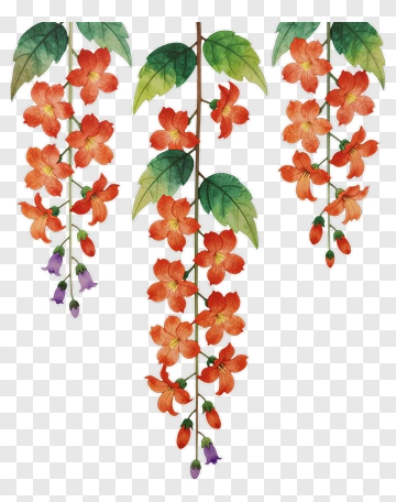 Orange Flower Branch With Green Leaves PNG