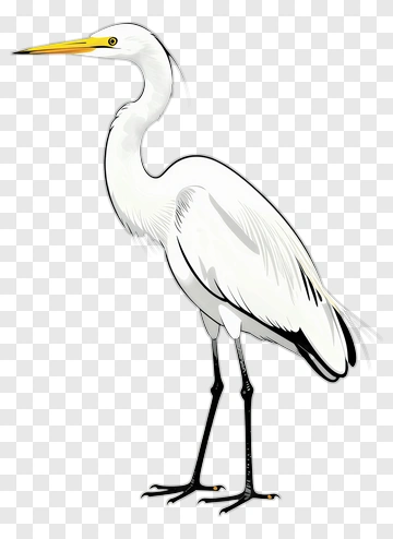 Hand-drawn Heron PNG