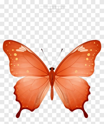 Orange Butterfly With Yellow Spots PNG