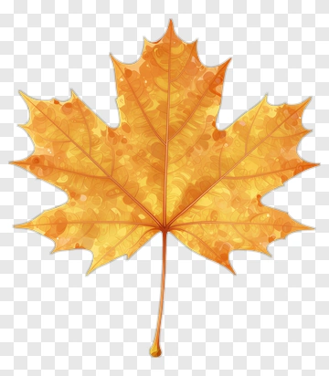 Autumn Maple Leaf PNG