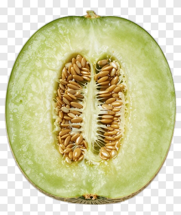 Fresh Cut Melon PNG