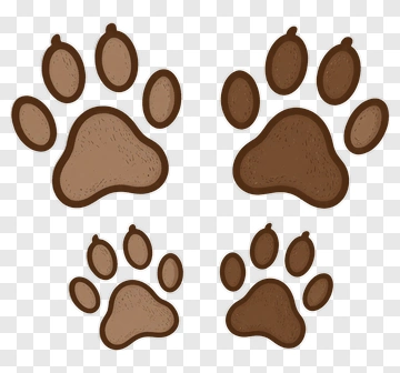 Paw Print PNG