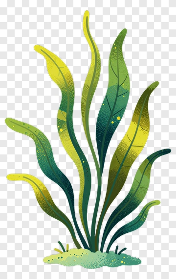 Seaweed Plant With Green And Yellow Leaves PNG